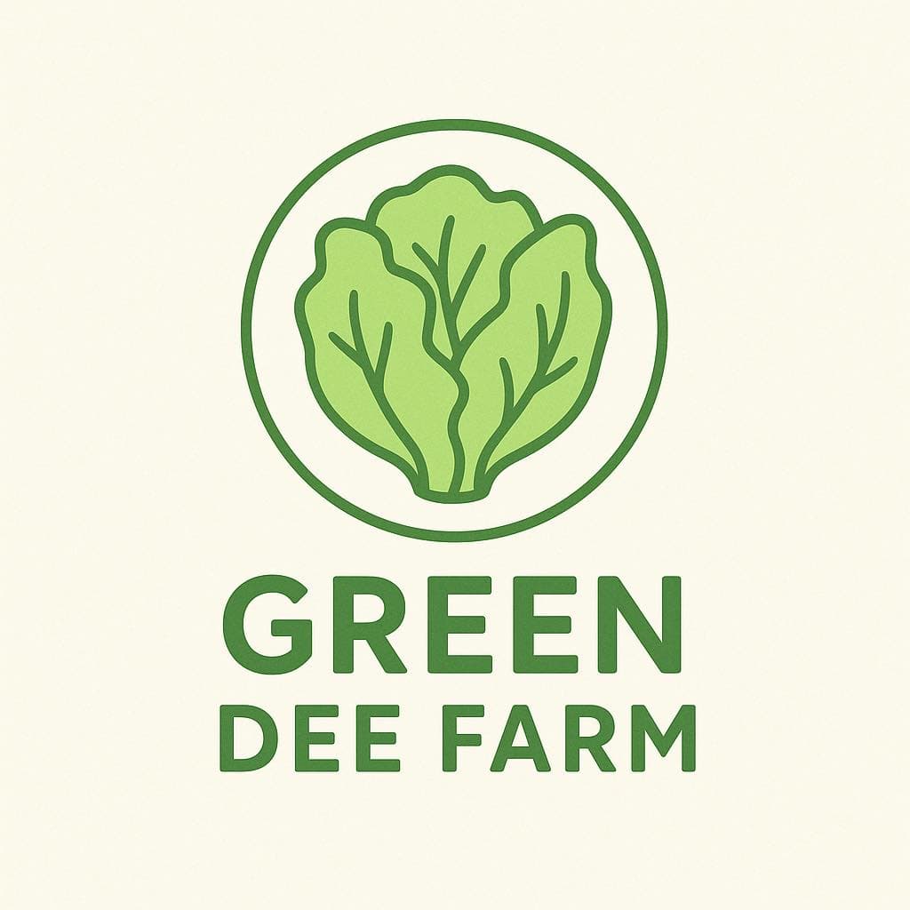 GreenDeeFarm ฟาร์มผักสลัดภูเก็ต